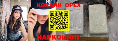 прущие грибы Новодвинск