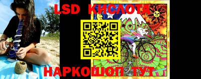 прущие грибы Новодвинск