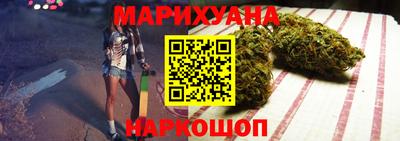 прущие грибы Новодвинск