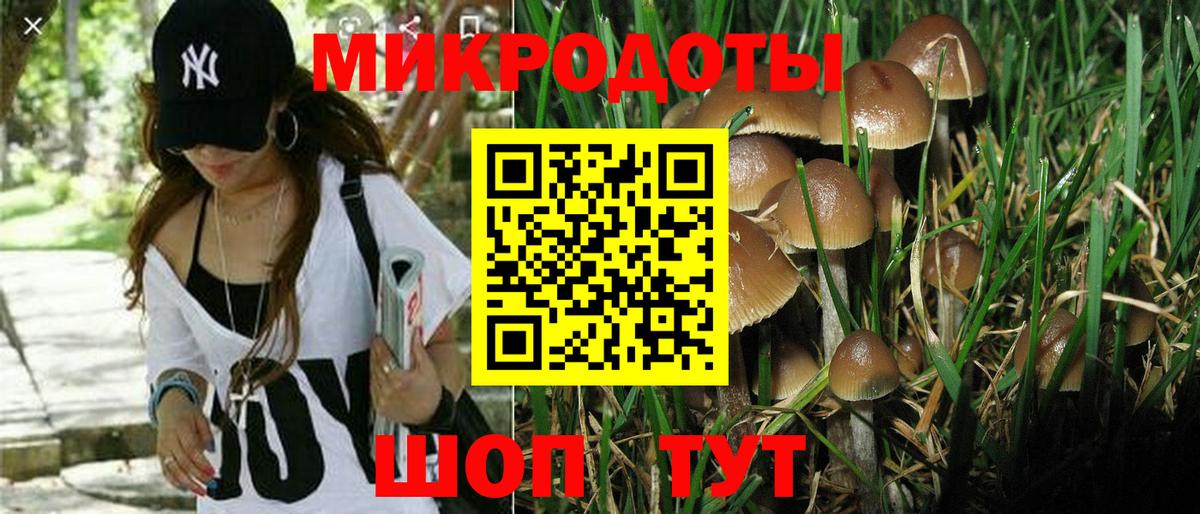 Псилоцибиновые грибы мухоморы  Галлюциногенные грибы мухоморы  Сальск  Вход с VPN 