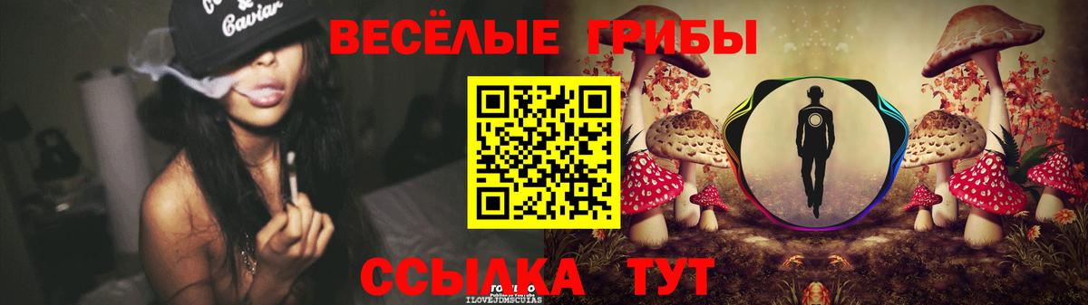 Галлюциногенные грибы Psilocybine cubensis Сальск
